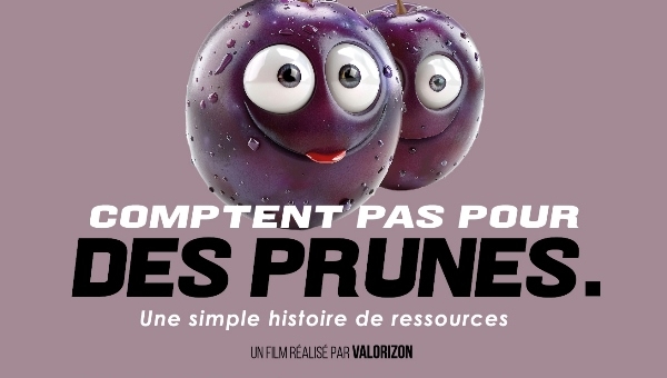 Même en vacances triez c'est important !